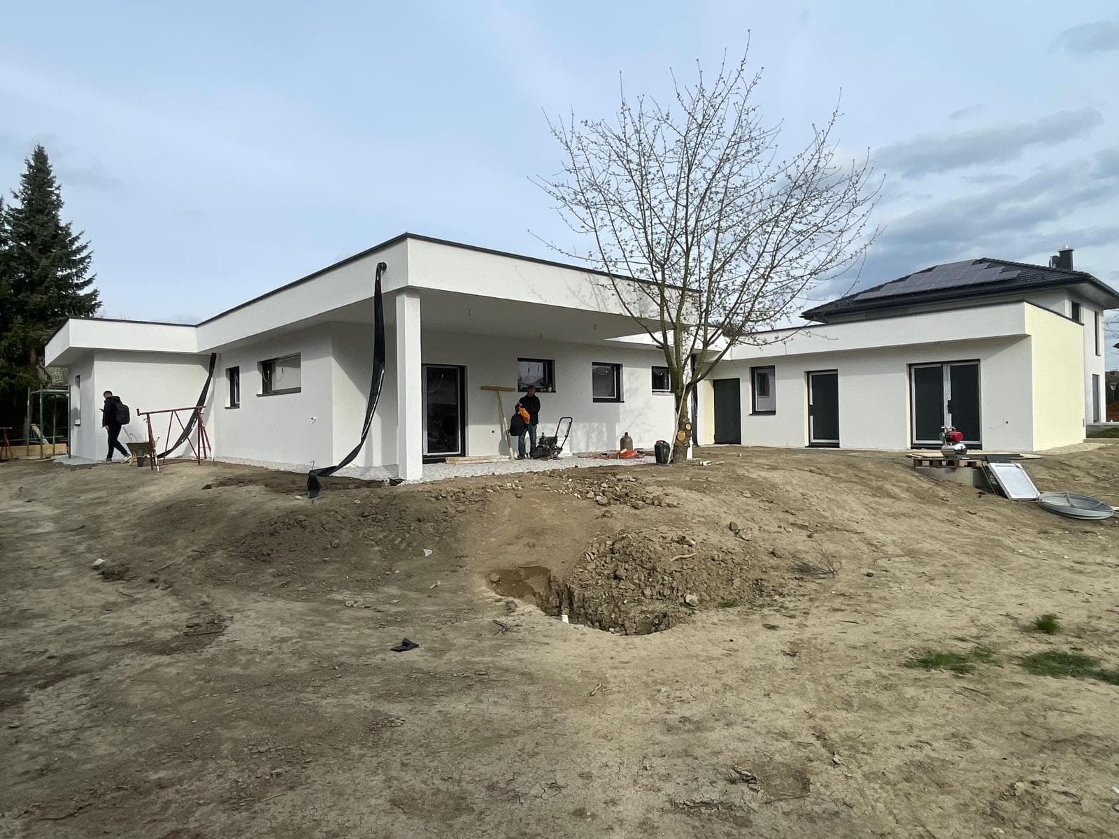 Fertiger Bungalow mit Flachdach und kahlem Walnussbaum vor der Gartenfassade, Langenschönbichl bei Tulln